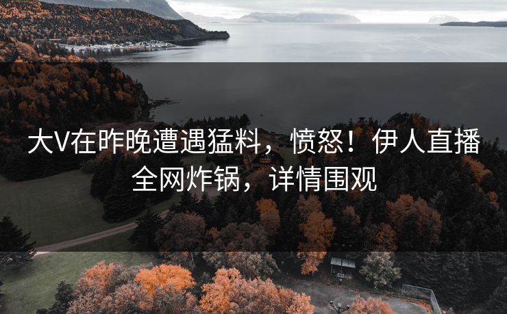 大V在昨晚遭遇猛料，愤怒！伊人直播全网炸锅，详情围观