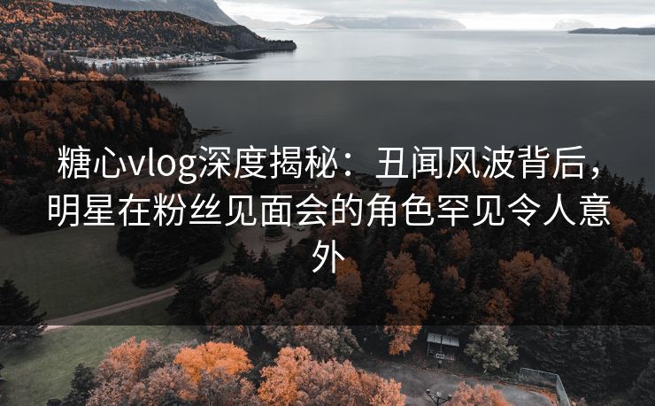 糖心vlog深度揭秘：丑闻风波背后，明星在粉丝见面会的角色罕见令人意外