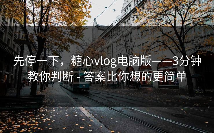 先停一下，糖心vlog电脑版——3分钟教你判断 - 答案比你想的更简单
